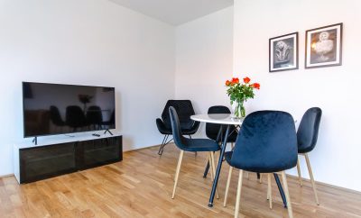 Accommodation in Vienna with hand-picked furniture and top location